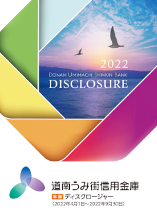 半期ディスクロージャー2022